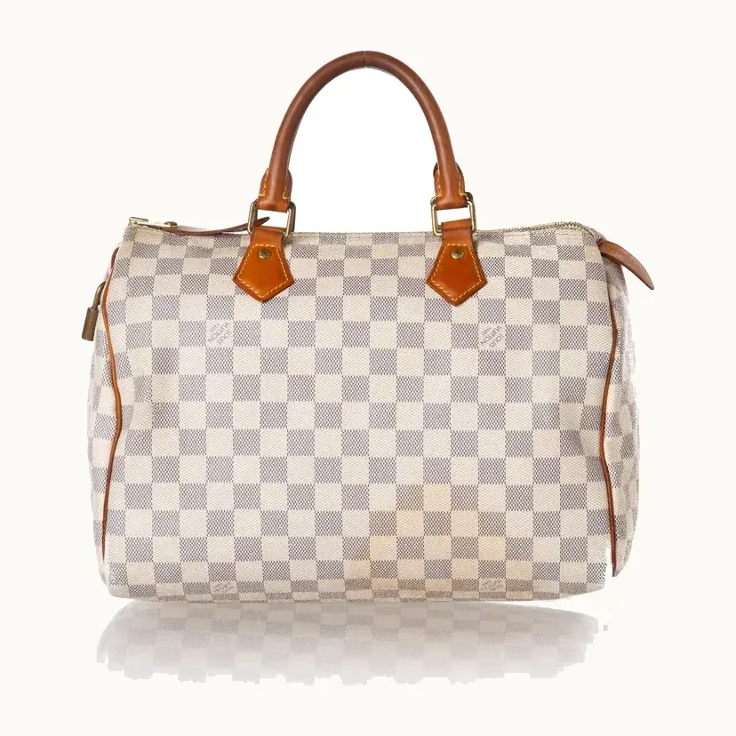 Bolsa Louis Vuitton Speedy
