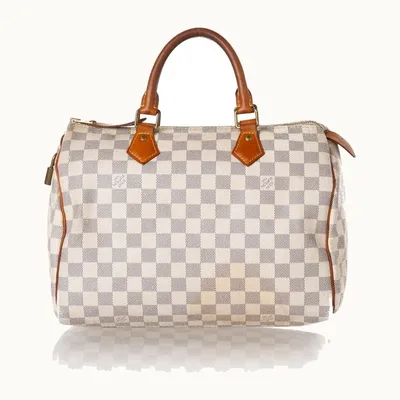 Bolsa Louis Vuitton Speedy