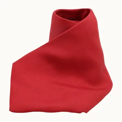 Corbata Hermès HermèsLisa, Correcto