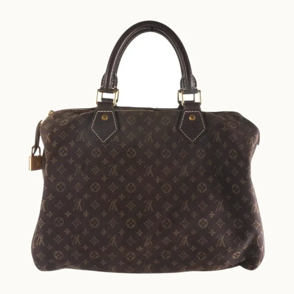 Bolsa Louis Vuitton Speedy 30 Mini Lin