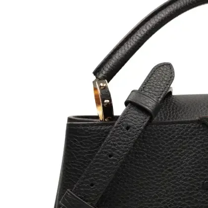 Bolsa Louis Vuitton Capucine Taurillon
