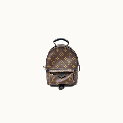 Louis Vuitton Backpack Mini Palm Springs